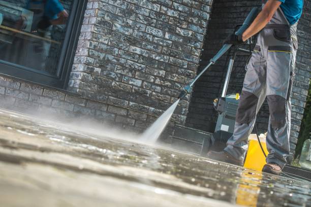 Best Graffiti Removal  in Paloma Creek, TX